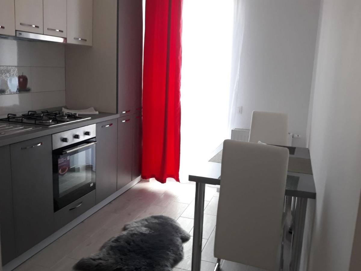 Apartament Avangarden Ema Verde ブラショフ エクステリア 写真
